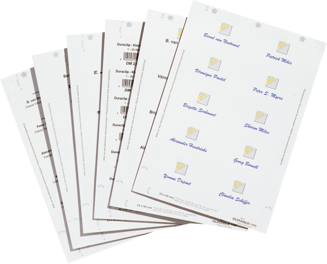 Einsteckschilderbogen weiß, DIN A4, Papier, 297x210 mm, 10 Einsteckschilder/VE 